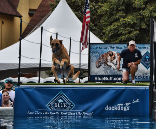The dock dogs were fun to watch.  This guy had a u...