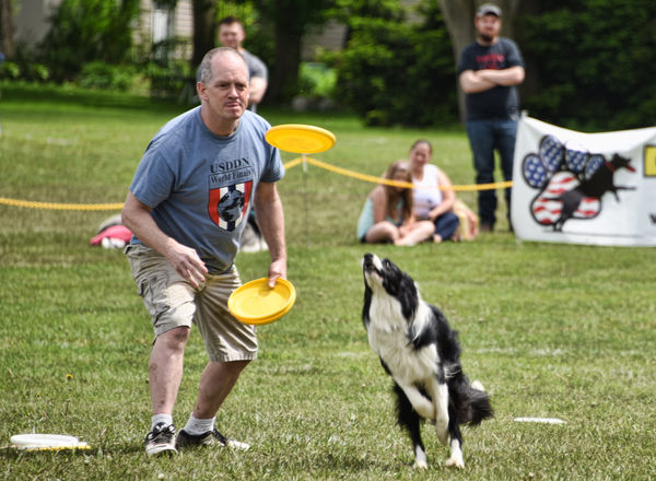 Frisbee dog freestyle....