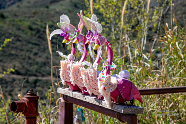 Some Flamingos sitting on a rail at the end of a d...