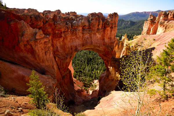 The Natural Bridge (really an arch) in Bryce Canyo...