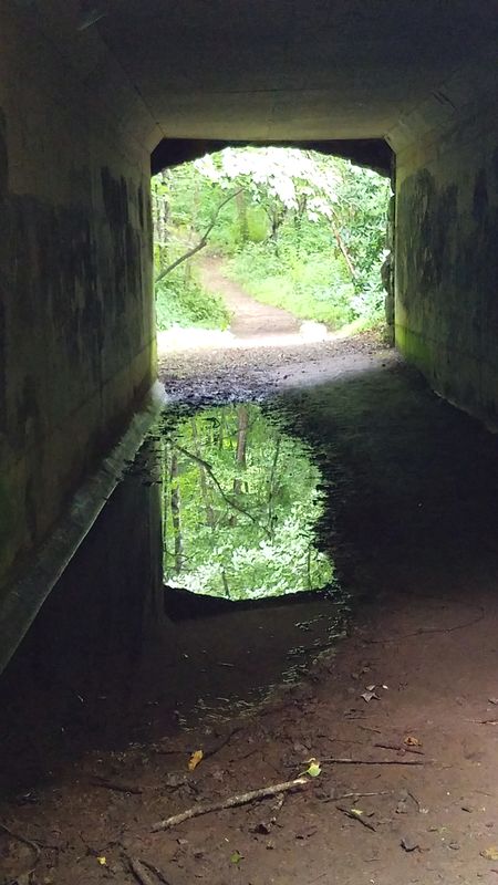 Reflection in a tunnel...