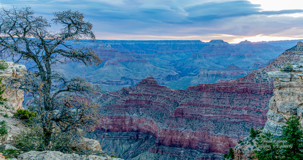 Grand Canyon Nat'l Park the following morning when...