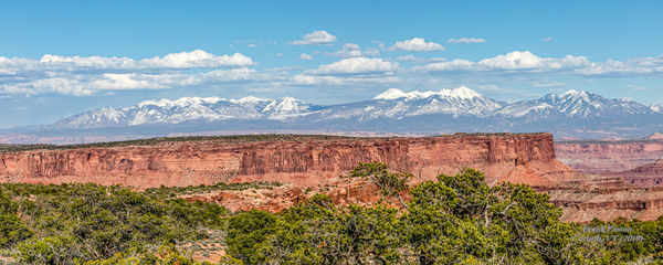 Canyonlands Nat'l Park with mountains in the dista...