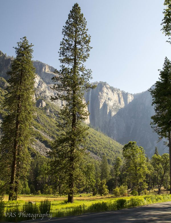 A glimpse of Yosemite Falls...