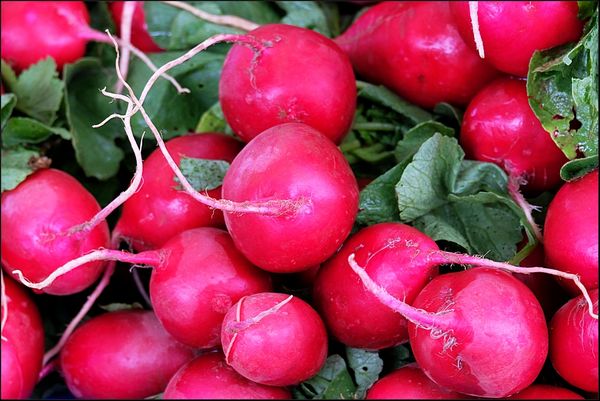 4. Radishes, my wife bought a bunch of them....