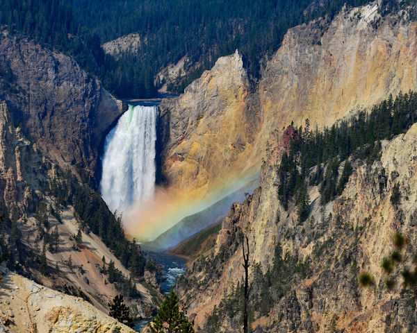 Rainbow in the Lower Falls of the Yellowstone River: These were taken ...