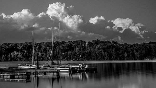 Edited version of boats and trees...