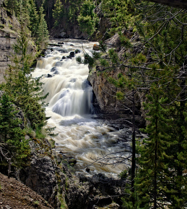 The Firehole River going over the Firehole Falls...