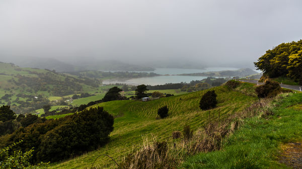 4 - Misty scene on the Christchurch-Akaroa Road lo...