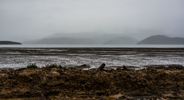 5 - Foggy beach on Banks Peninsula near Akaroa...