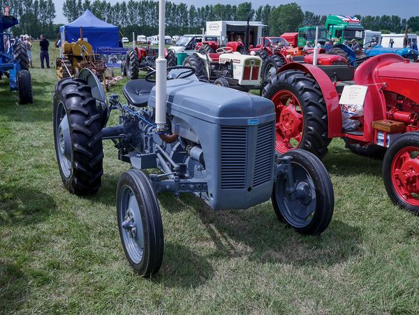 Vintage Ferguson Tractor in Original Colour...