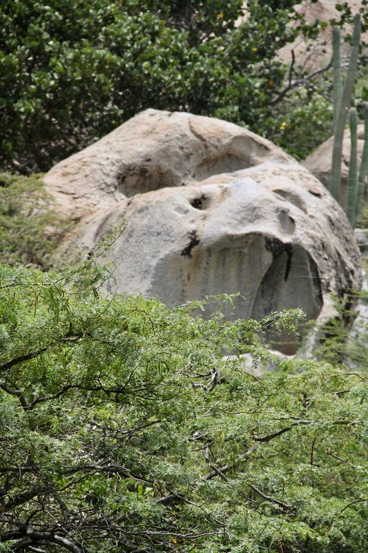 "Gorilla" rock, carved out by the constant 15-20mp...