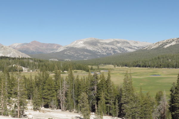 Tuolumne Meadows from near the top of the Lembert ...
