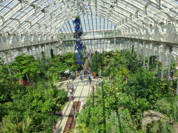 From the Gallery of the Temperate House...