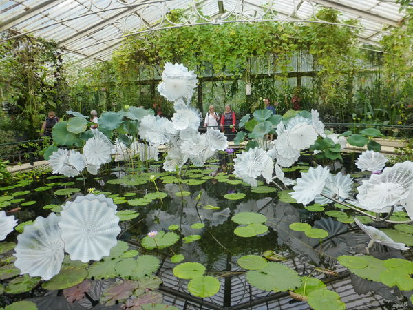 Ethereal White Persian Ponds...