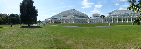 Panorama of the Temperate House...