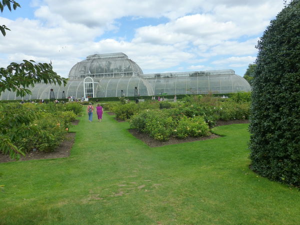 038 The Palm House...