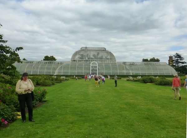 040 The Palm House...