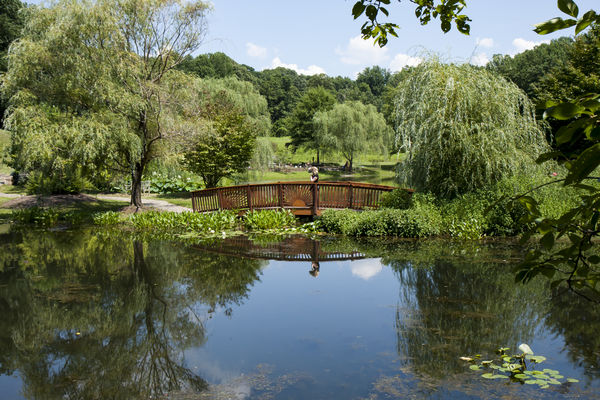 Footbridge in Meadowlark Gardens, Vienna, VA...
