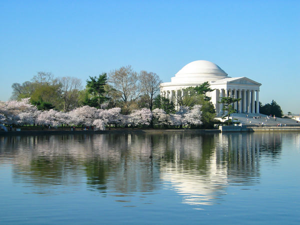 Jefferson Memorial in Cherry Blossom Season, Washi...