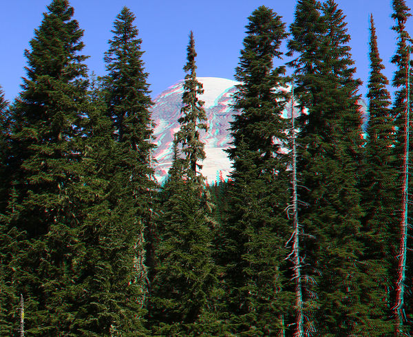 Mount Rainier Peeking Though the Trees....