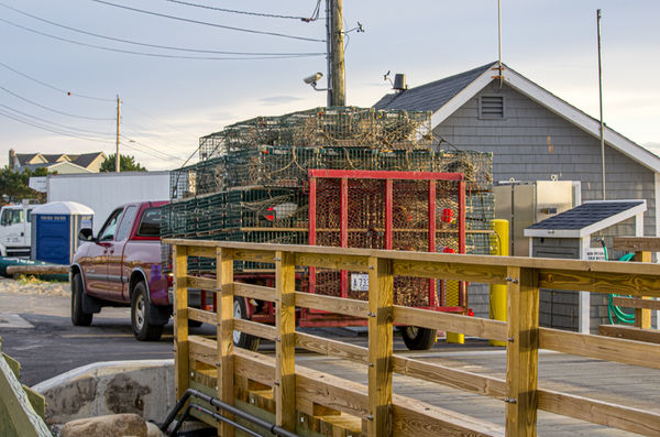 Lobster traps heading to the boats...