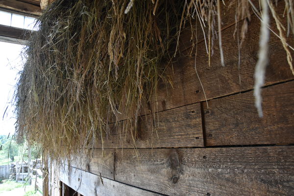 Just some hay in the loft...