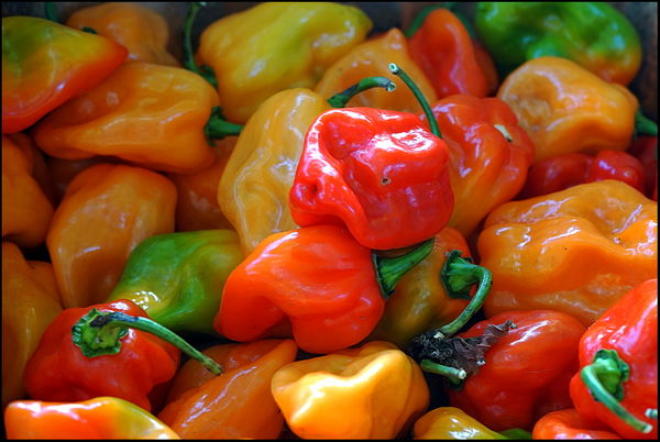 1. Various colored peppers. Don't know what kind....