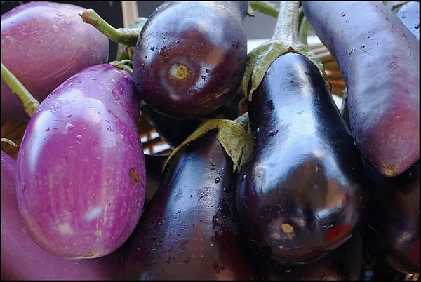 3. Eggplant. Wonder how it got that name?...