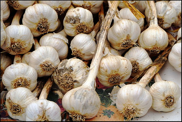 8. Garlic bulbs....
