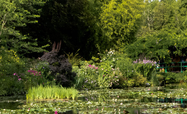 Monets Bridge Over Lily Pond monets-bridge-over-lily-pond