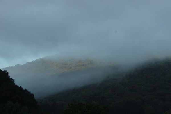 Fog lifting off the mountain at sunrise Shickshinn...