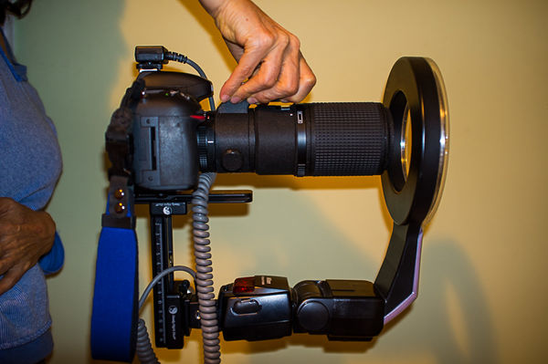 side view shoing Ray-Flash on Nikon SB-800...