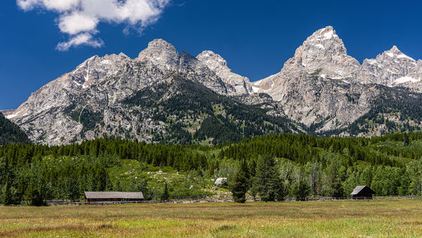 Grand Teton View With Cabin