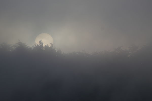Sunrise in the fog-Mocanaqua PA...
