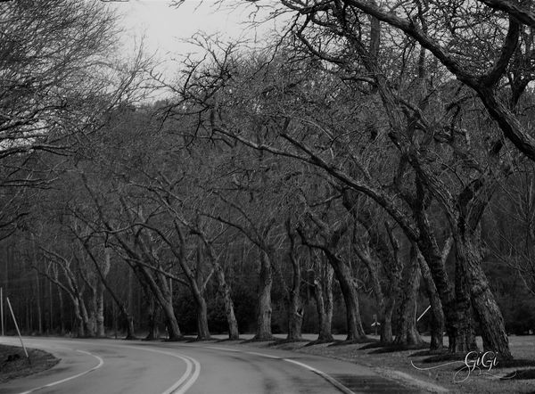 Route 611, the road the Assateague Island...