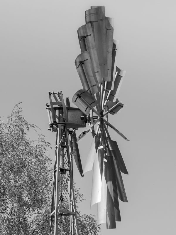 Wind pump, Wicken Fen, Cambridgeshire...
