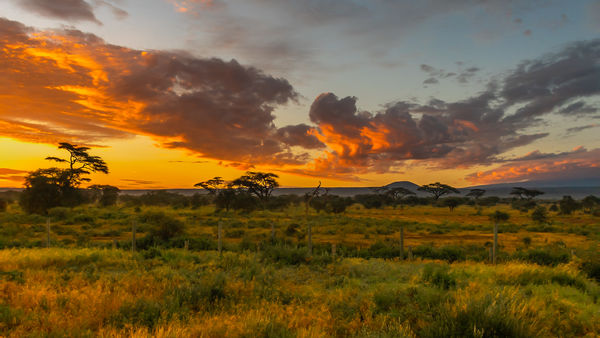 Sunrise - Amboiseli Nat Park - Kenya...