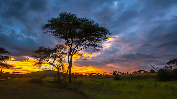 Sunset -Tented Camp Serengeti - Tanzania...