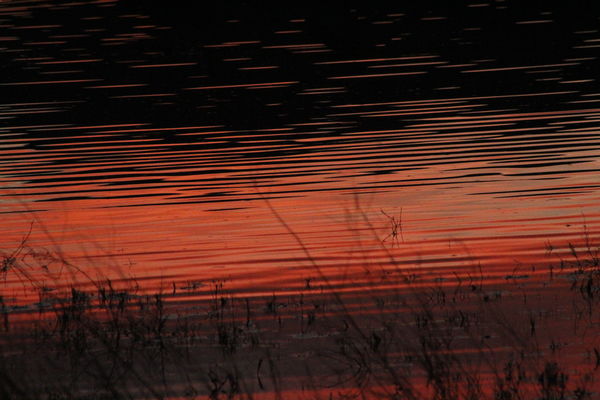 sunset reflected in a pond...