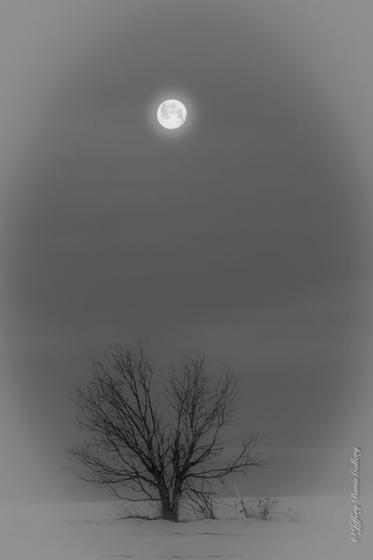 Cold, Very Cold Moon...