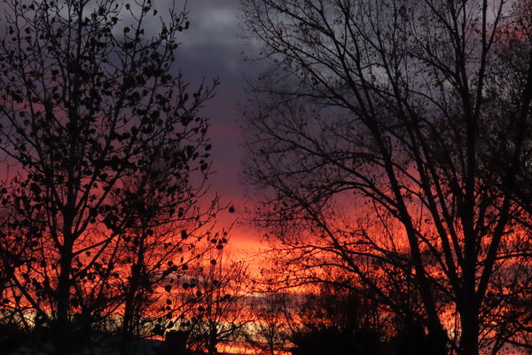 Not thru my window from my back deck. Fall sunset ...