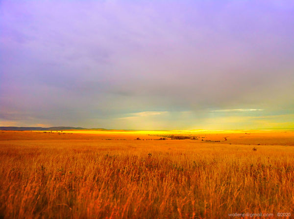 Morning GH, Masai Mara Africa...