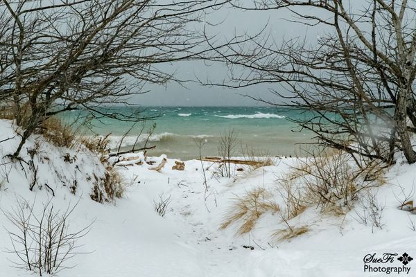 Snow, Wind and Waves...
