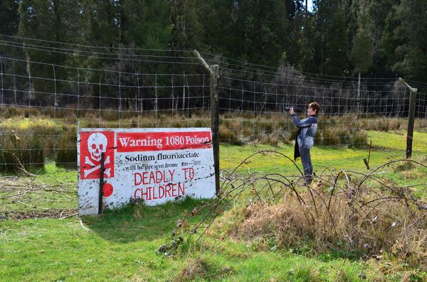 NZ S. Island warning...