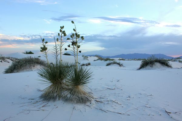 White Sands National Park, New Mexico...