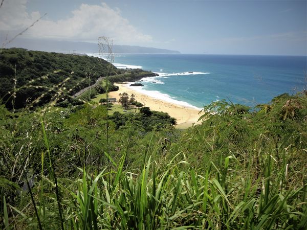 (6) North Shore Oahu from a hillside....