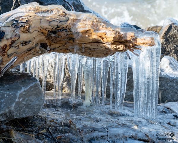 Ice Coats along Lake Michigan...