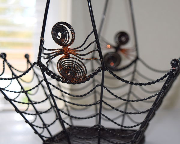 Spider on a web basket...