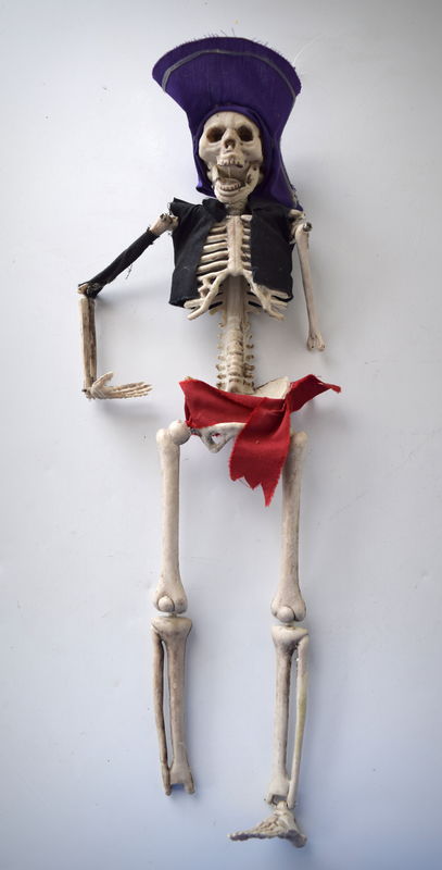 We have had this Pirate Skeleton for years and ove...